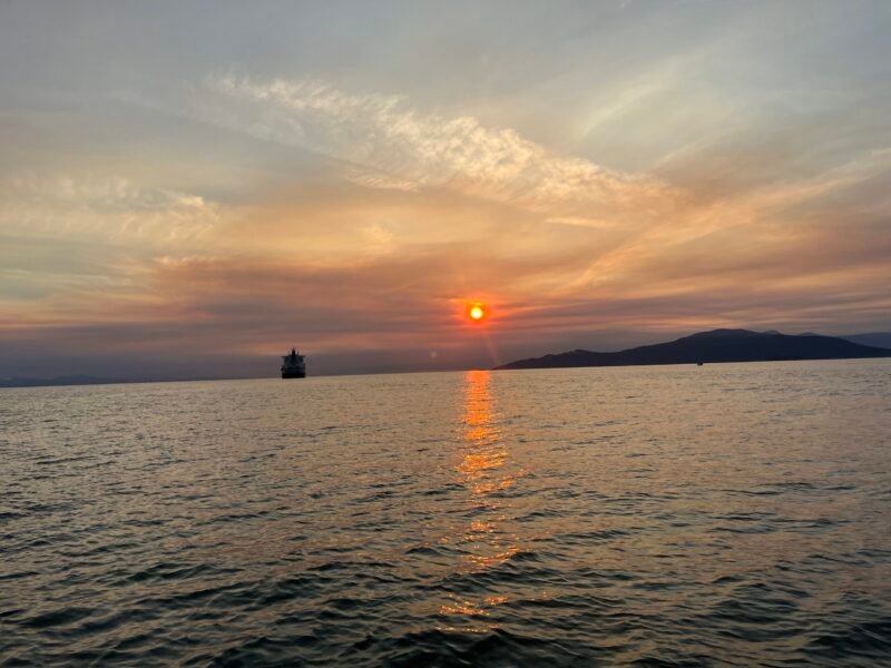 2025_08_13_19_56_03_IMG_1672