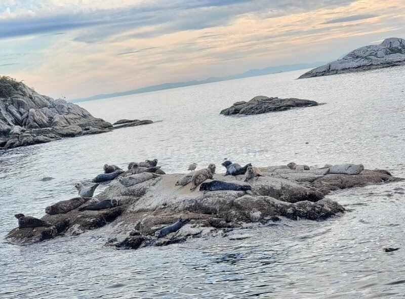 Yacht Rentals in Horseshoe Bay